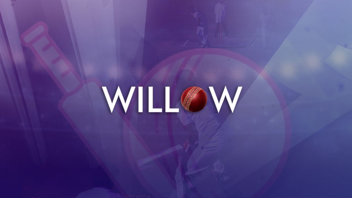 Willow TV Logo